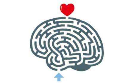 Срце и мозак у љубави