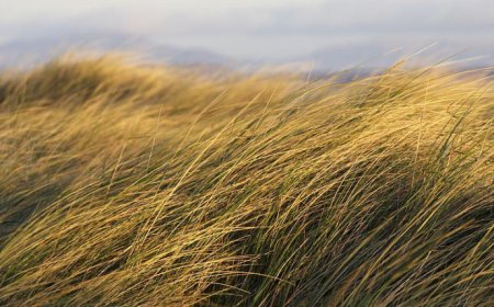 Иван Иљин – Прашина света