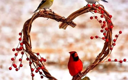 Kо има Пријатеља...тај има Све(т)...