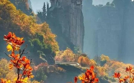 ”Верујем да ћу видети доброту Господњу на земљи живих”