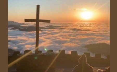 Нико није предодређен да успе