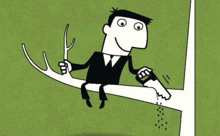 Дитрих Бонхефер: О глупости