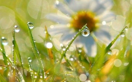 Kако су пре сто, двеста година, верници живели без психологије?