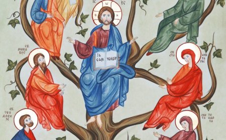 Како се љубав рађа у људској души