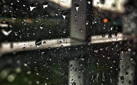 Једноставно нисам паметан...