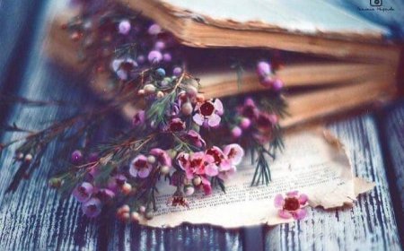 О одговорности образованих