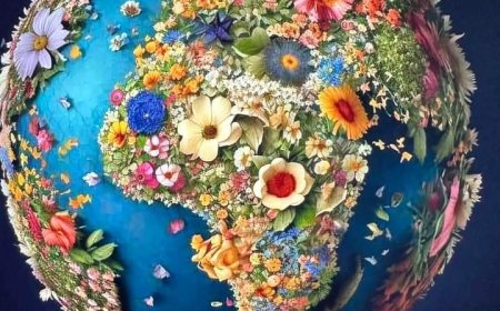 o. Ненад Илић - Захвалност...