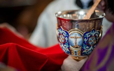 Када Бог воли, прашта и милује, не постоје логична објашњења