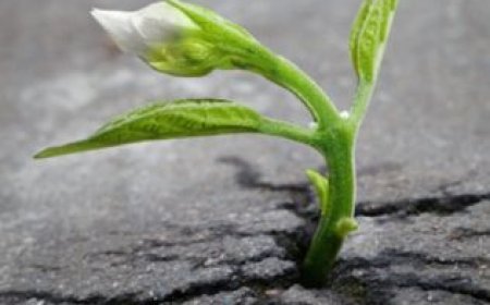 Не дај рај, који си у себи засадио, змијама да га гризу