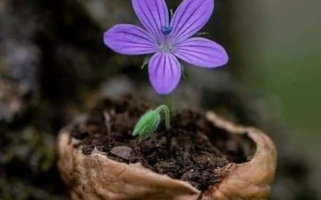 Не дозволите да вас користе као посуде за токсичне емоције