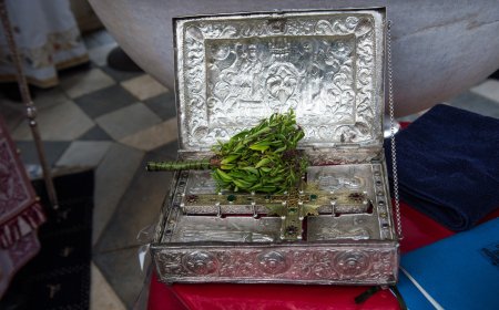 Важно је да ценимо оно што имамо