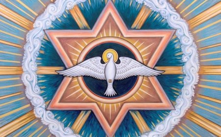 Све можемо видети као радост и благослов