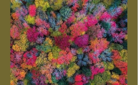 Мисли великих филозофа и научника о Богу