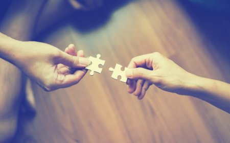 Модели бирања партнера