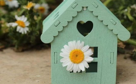 Лако је у трену све изгубити