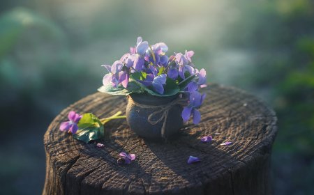 Исидора Секулић: О ПРКОСУ