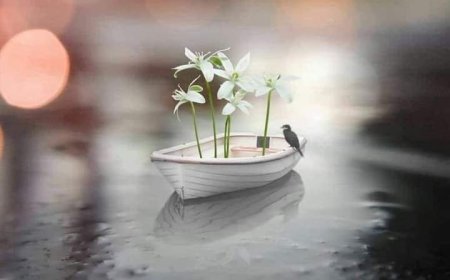 Спасоносна истина Цркве се огледа у искуству живота њених чланова