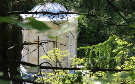 Није довољно отићи на места, за која смо чули да се дешавају чуда, и само стајати