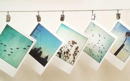 Горица Нешовић - Успомене