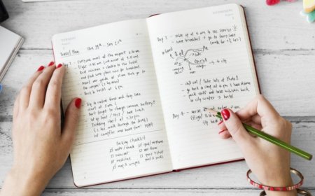 Дневник као слика живота какав би могао да буде