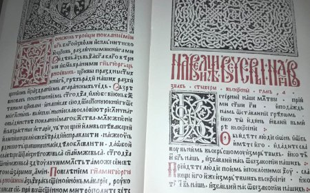 Веселин Матовић: Није Устав „свето писмо“