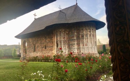 Плодови подвижништва