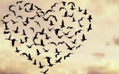 Само дела љубави остају