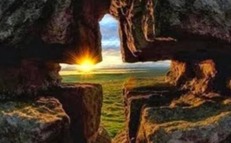 О Божанској правди