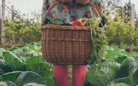 Начин на који се носимо са потешкоћама истински показује ко смо ми