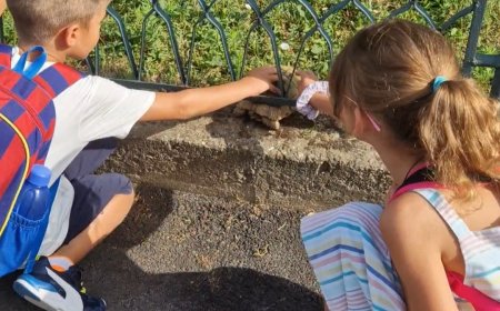 Дете НЕЋЕ проћи боље у животу ако га учите да гази преко других. Зато, немојте...