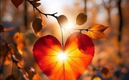 Човек и мржња према истини