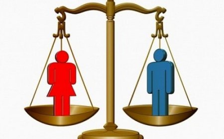 Противуставност и нелогичности Закона о родној равноправности
