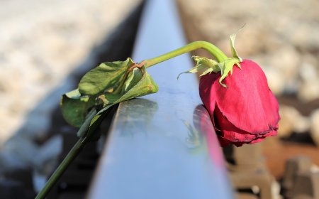 Нисмо ли навикли на трагедију зла, на несрећу, на безобзирност...?