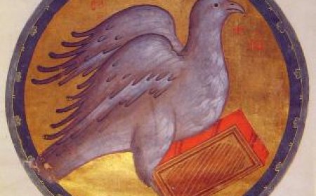 "O сујети и контрадикторности"