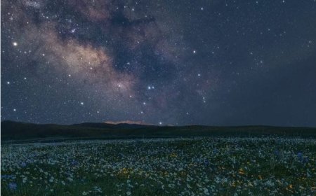 Психологија озлојеђености