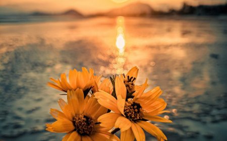 Праштање је благодат