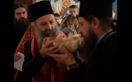 Епископ Сергије: Ко и зашто клевеће патријарха српског?