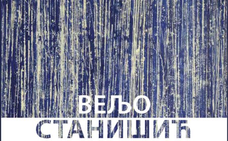 Вечерас отварање изложбе ”Еволуција” Веља Станишића у Даниловграду