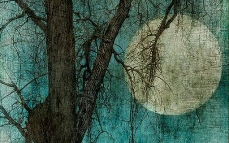 О прецијењености сна - ђакон Павле Љешковић