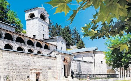 Митрополија црногорско-приморска: Реаговање на тврдње посланика Милана Кнежевића