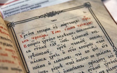 "Кад бисте пак знали шта је то: милости хоћу а не прилога, никад не бисте осуђивали правијех" (Матеј 12:7)