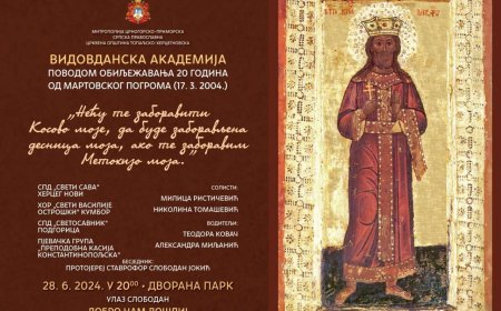 Видовданска академија у Дворани „Парк“