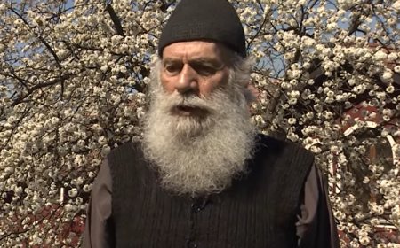 Јутарња звона или теорија савршеног круга