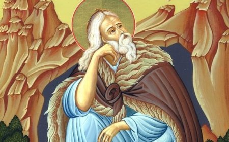 Свети Јустин Ћелијски: Пророк Илија сваки грех је спаљивао огњем вере своје