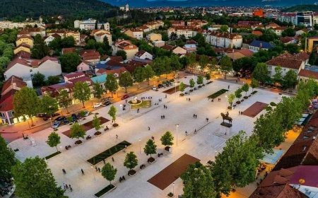 Шести Фестивал књига „Ауто(р) на корзу“ од 7-24. августа