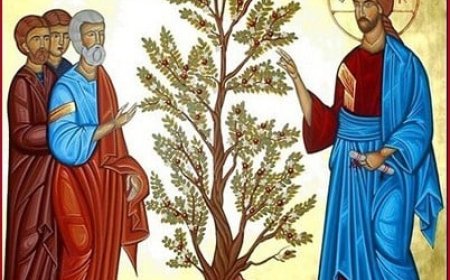 Господња земља и ми на њој