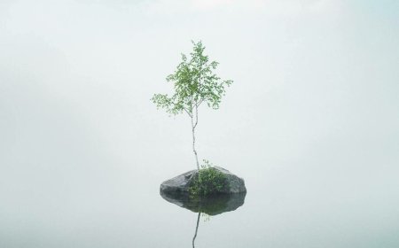 Последице живљења духовног живота без руководства