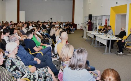 Чачак: „Мостови Владете Јеротића“