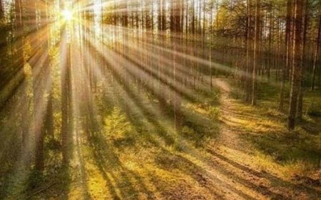 За љубав је потребна Душа...