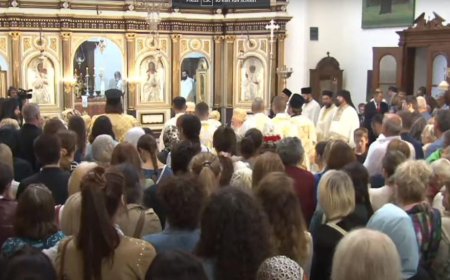 Патријарашка Литургија у Цркви Св. Николе у Котору